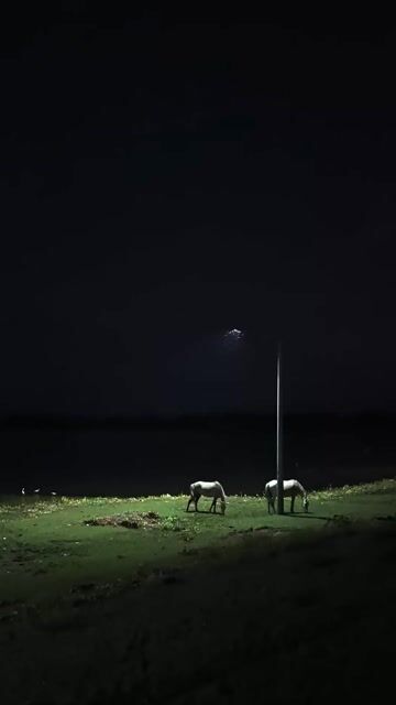 Lake Cocibalca early evening, just after dusk and moments before a huge full moon rose.